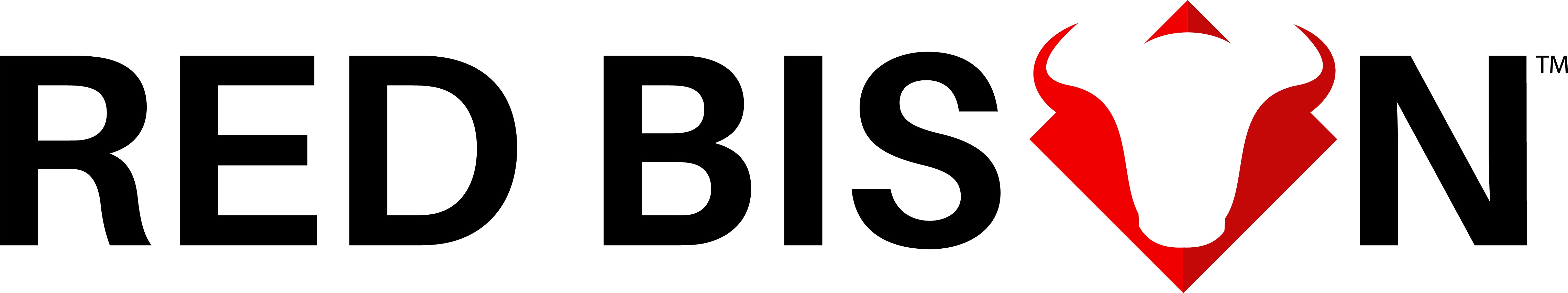 Red Bison, Teledesic, Nortel, Seattle, New York, San Francisco
